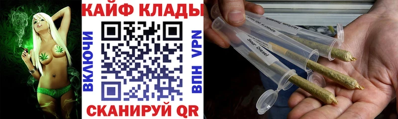 Где купить наркотики Шенкурск Бошки Шишки  АМФ  МЕФ  Псилоцибиновые грибы  Alpha PVP 