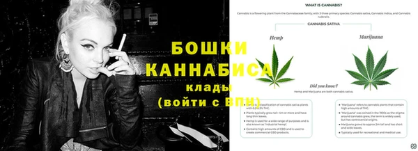 гидра Белоозёрский
