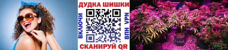 МАРИХУАНА гибрид  закладка  Шенкурск 